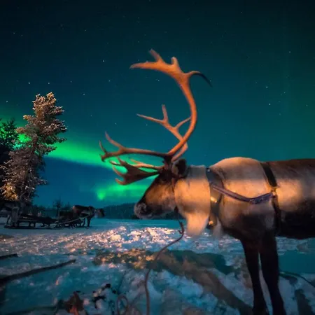 Otel & Sallavalkea Salla