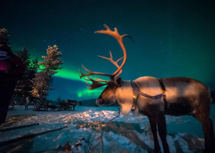 Hotelli Hotel&resort Sallavalkea Salla